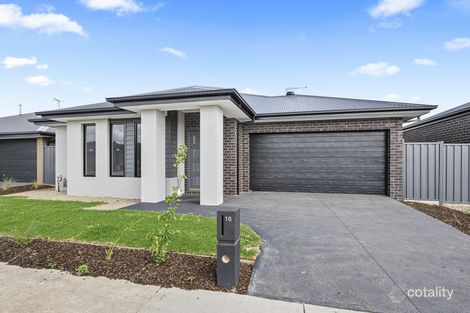 16 Vetrano Ave, Alfredton, VIC 3350