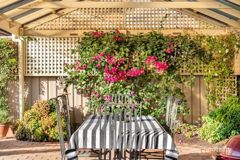 Property photo of 13 Heggaton Terrace Newton SA 5074