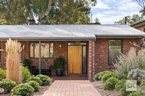 Property photo of 7 Nilpinna Street Burnside SA 5066