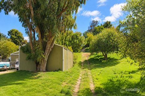 5 Jones St, Ledge Point, WA 6043
