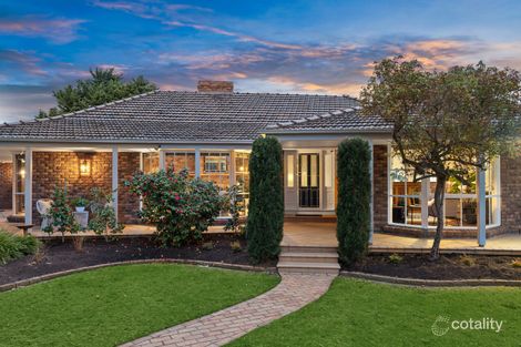 Property photo of 6 Williams Close Dingley Village VIC 3172
