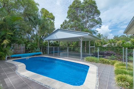 Property photo of 6 Crab Apple Court Black Mountain QLD 4563