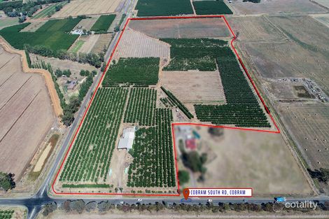 484 Cobram South Rd, Cobram, VIC 3644
