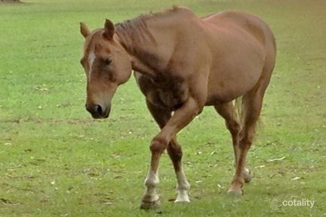 Property photo of 9 Hayward Road Lake Macdonald QLD 4563