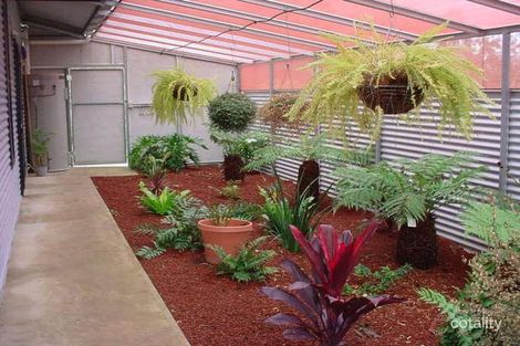 Property photo of 68 Cobwell Street Barham NSW 2732