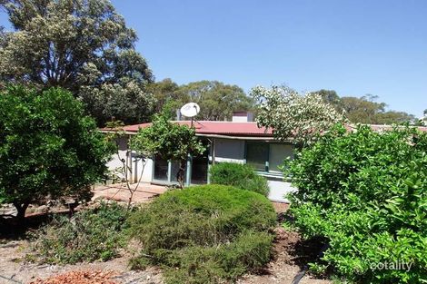 830 Harrys Creek Rd, Violet Town, VIC 3669