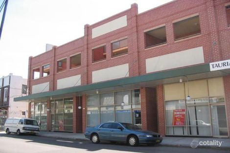Property photo of 219 Elizabeth Street Croydon NSW 2132