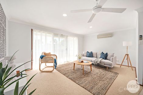 Property photo of 44 Argyle Avenue Anna Bay NSW 2316