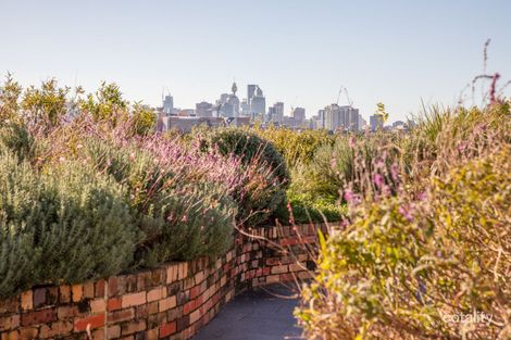 Property photo of 505/18 Huntley Street Alexandria NSW 2015