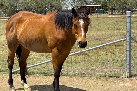 Property photo of 37 Jamieson Road Churchable QLD 4311