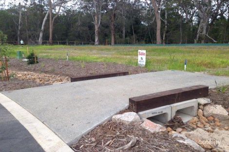 Property photo of 21 Azolla Circle Noosaville QLD 4566