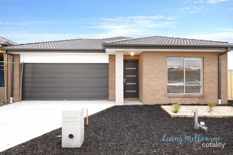 6 Hollywood Dr, Roxburgh Park, VIC 3064