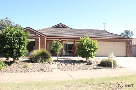 Property photo of 29 Burke Court Cobram VIC 3644
