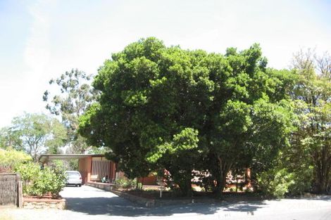 30 Davenport St, Banksia Park, SA 5091