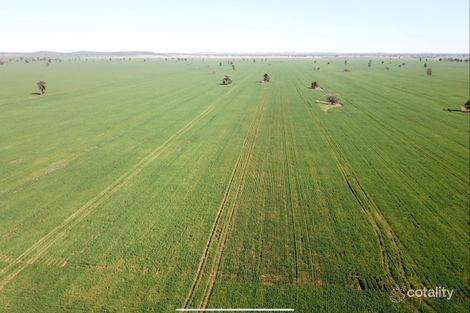 762 Cornells Rd, Condobolin, NSW 2877