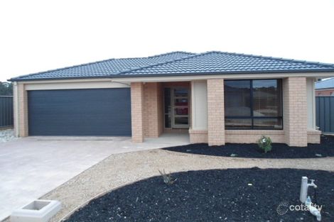 819 Callaghan St, Jackass Flat, VIC 3556