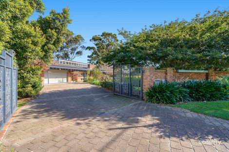Property photo of 8 Rainbird Close Heatherbrae NSW 2324