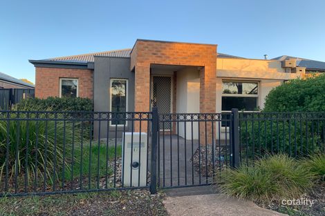 17 Prichard Walk, Point Cook, VIC 3030