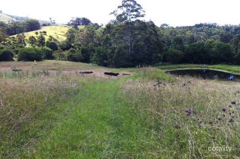 Property photo of 4118 The Bucketts Way Krambach NSW 2429