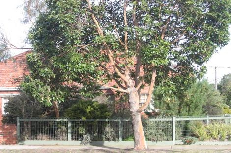 86 Abbott St, Sandringham, VIC 3191