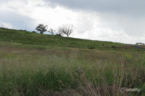 Property photo of 53 Thompsons Lane Gulgong NSW 2852