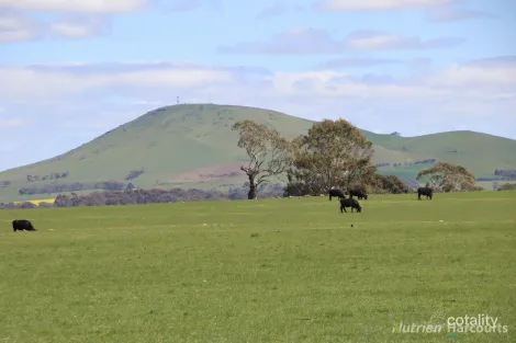 279 Eastern Hill Rd, Blampied, VIC 3364