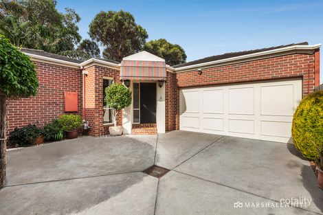 3/5 Hastings St, Hampton, VIC 3188