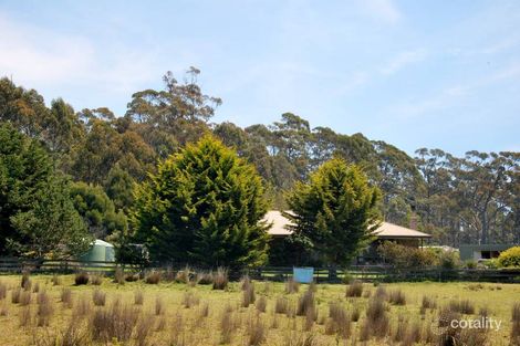 Property photo of 1749 Nugent Road Nugent TAS 7172