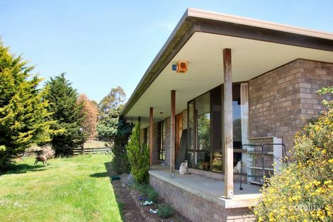 Property photo of 1749 Nugent Road Nugent TAS 7172