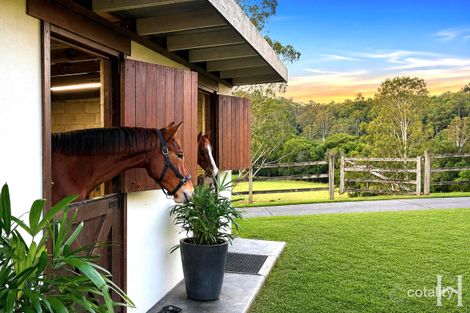Property photo of 55 Eumundi Range Road Eumundi QLD 4562