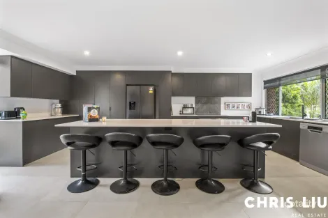 Property photo of 28 Black Diamond Crescent Edens Landing QLD 4207