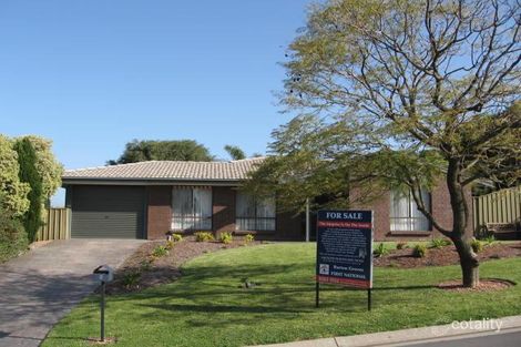 8 Pedare Ct, Wynn Vale, SA 5127