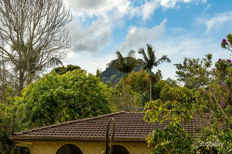 Property photo of 14 Warina Place Mullumbimby NSW 2482