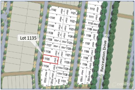 Property photo of 17 Roseleaf Crescent Palmview QLD 4553