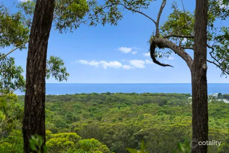 144 Round Mountain Rd, Round Mountain, NSW 2484