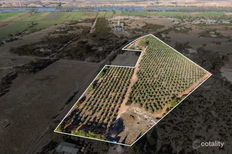 Property photo of 820 Wool Shed Road Mypolonga SA 5254