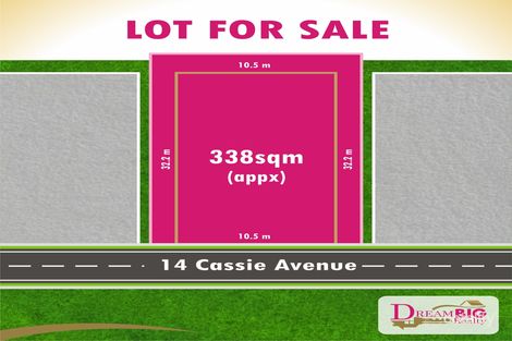 14 Cassie Ave, Grantham Farm, NSW 2765