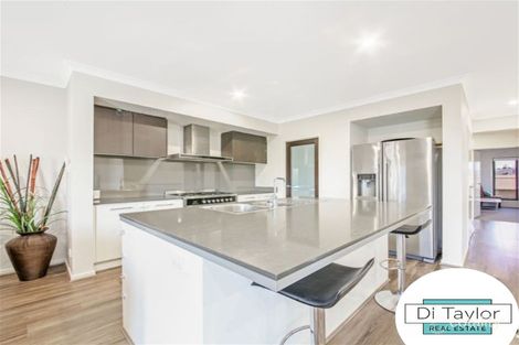 Property photo of 50 Pinehill Street Yarrabilba QLD 4207