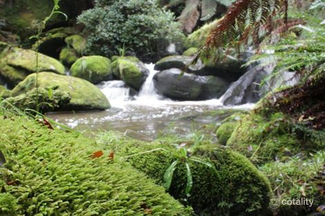 630 Dehnerts Trk, Beech Forest, VIC 3237