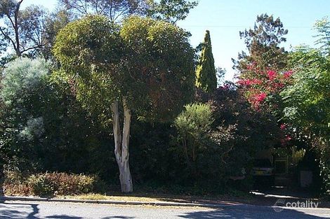 62 Tyrell St, Nedlands, WA 6009