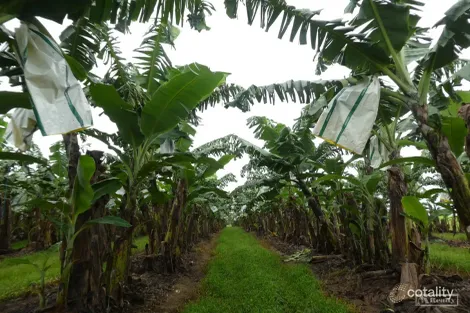 Lot 25 Mourilyan Harbour Rd, Etty Bay, QLD 4858