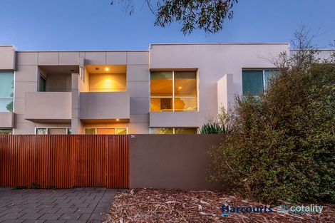 Property photo of 3C Nash Street Grange SA 5022