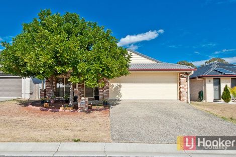 49 Mell St, Bracken Ridge, QLD 4017