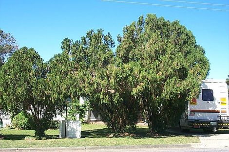 Property photo of 22 Keim Street Rural View QLD 4740