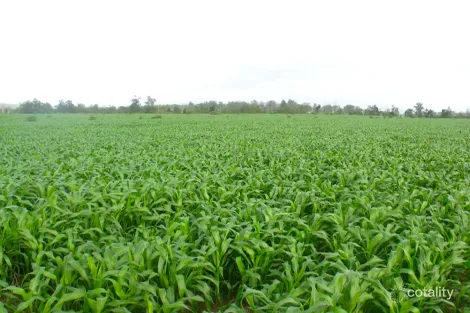 Lot 1 Knights Rd, Ettrick, NSW 2474
