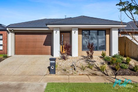 Property photo of 34 Reardon Crescent St Leonards VIC 3223