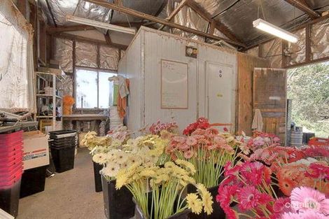 Property photo of 55 Kearney Road South Maroota NSW 2756