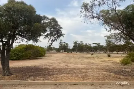 63 Johnston St, Wyalkatchem, WA 6485