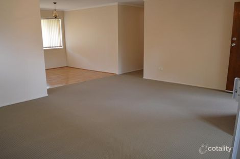 Property photo of 53 Lewana Street Mansfield QLD 4122