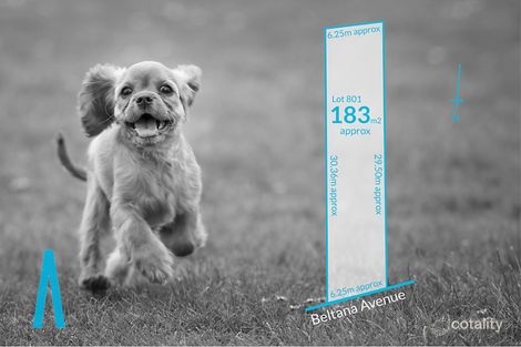 19c Beltana Ave, Modbury North, SA 5092